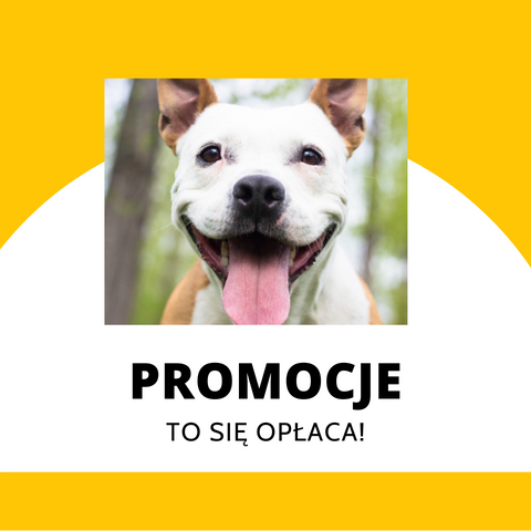 PROMOCJE